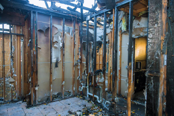 Professional Fire Damage Repair technician working in Mount Rainier, MD