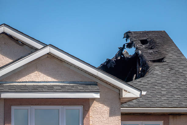 Top rated local Fire Damage Repair specialists in Mount Rainier, MD